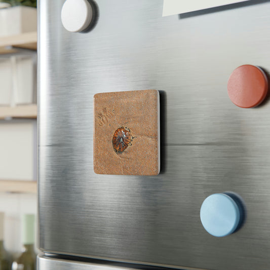 Jelly Porcelain Magnet, Square