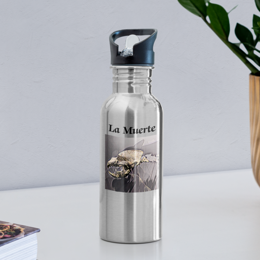 Saber Water Bottle - silver